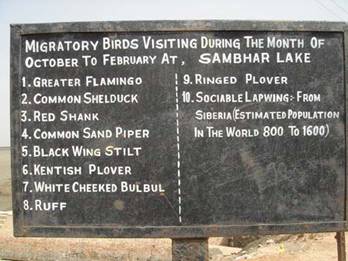 Biological mgmt of sambhar saltworks